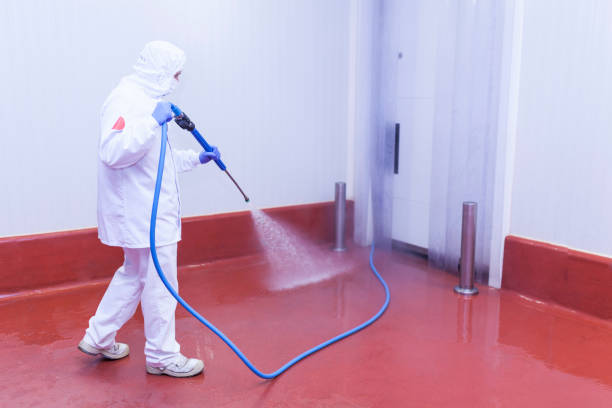 Best Patio and Deck Pressure Washing  in San Rafael, CA